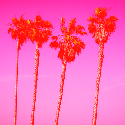 Bay Area tech culture